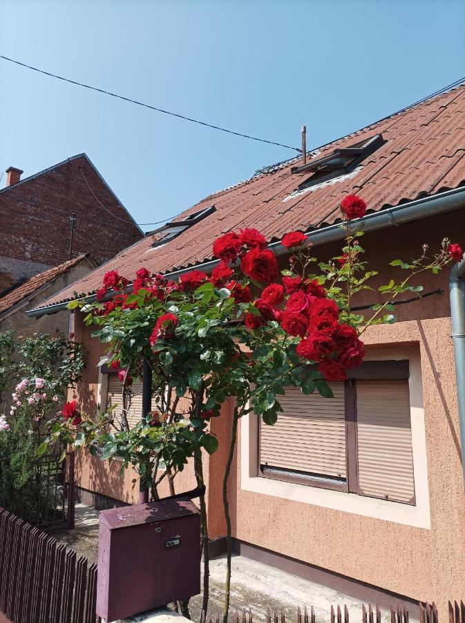 Appartement Annabelle à Zagreb Extérieur photo